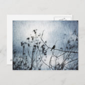 Tiny Bird Silhouette Postcard Briefkaart (Voorkant / Achterkant)