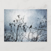Tiny Bird Silhouette Postcard Briefkaart (Voorkant)