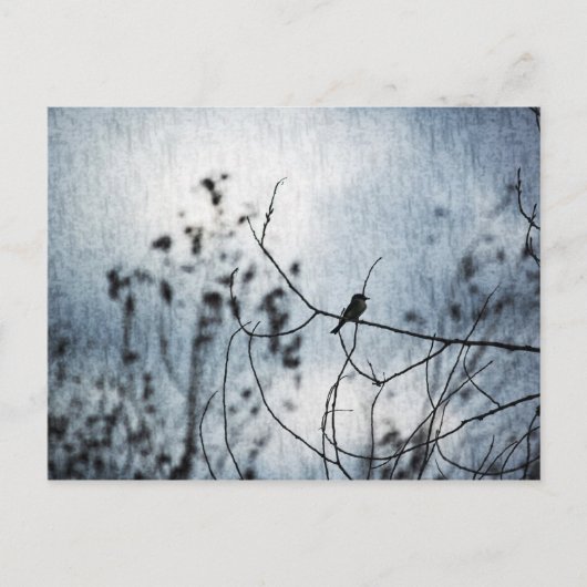 Tiny Bird Silhouette Postcard Briefkaart (Voorkant)