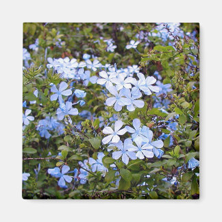 Tiny Blue Flowers Magneet