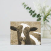 Tiny Briefkaart (Staand voorkant)