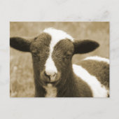 Tiny Briefkaart (Voorkant)