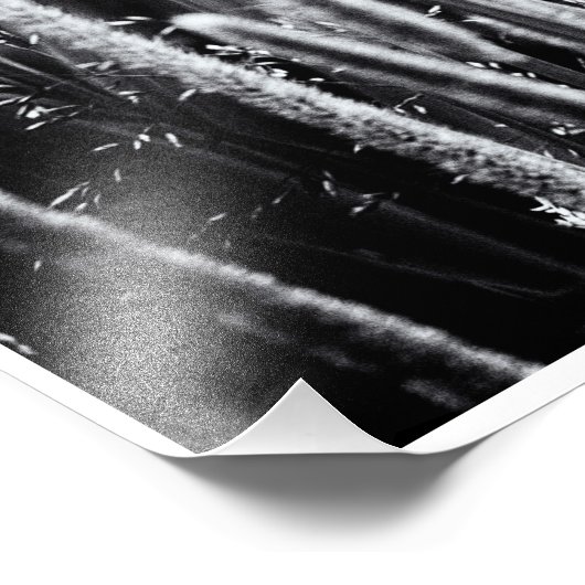 Tiny Bull Rush Marsh Grasses Black en White Foto Afdruk (Hoek)