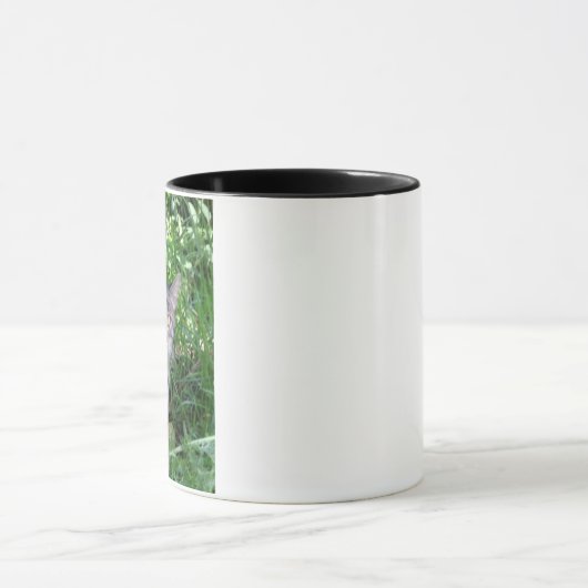 Tiny Cat Mok (Midden)