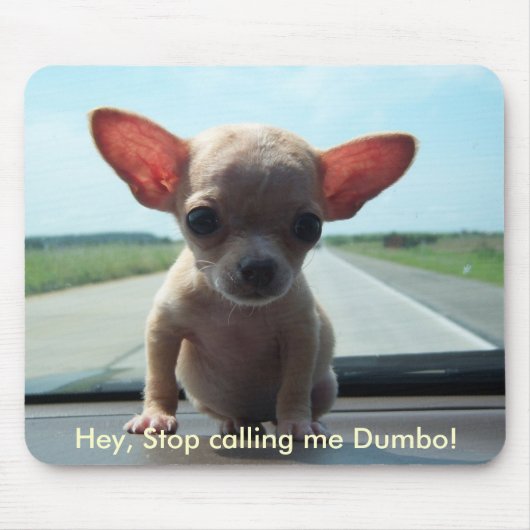 Tiny Chihuahua Mousepad Muismat (Voorkant)
