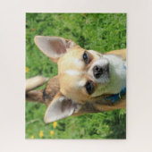 Tiny Chihuahua Puppy Dog Legpuzzel (Verticaal)