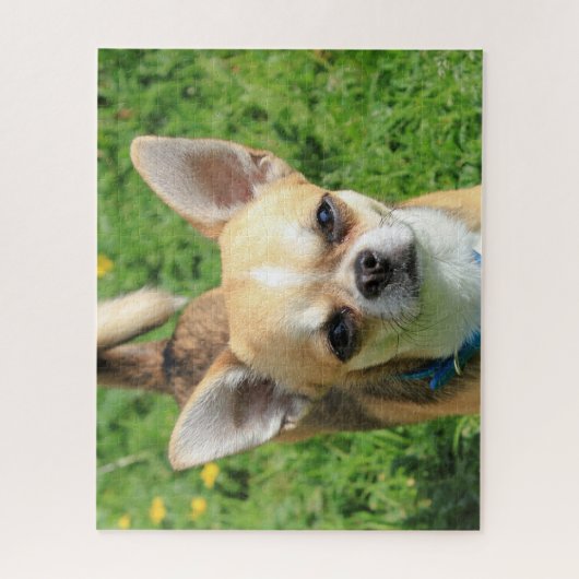 Tiny Chihuahua Puppy Dog Legpuzzel (Verticaal)