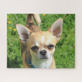 Tiny Chihuahua Puppy Dog Legpuzzel (Horizontaal)