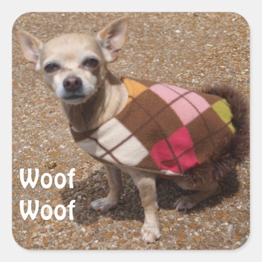 Tiny Chihuahua Says Wof Wof Vierkante Sticker (Voorkant)