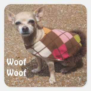 Tiny Chihuahua Says Wof Wof Vierkante Sticker