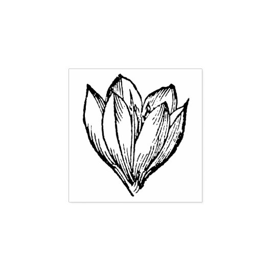 Tiny Crocus Flower Floral Garden Blossom Rubberstempel (Afrduk)