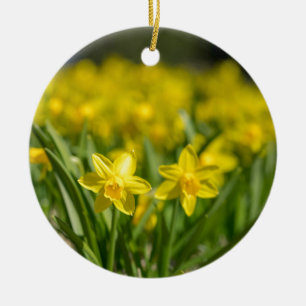 Tiny Daffodils Keramisch Ornament