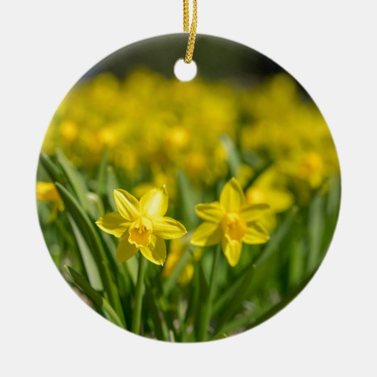 Tiny Daffodils Keramisch Ornament (Voorkant)