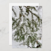 Tiny Diamonds of Ice Clinging to Emerald Needles Feestdagenkaart (Voorkant / Achterkant)