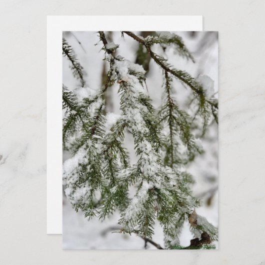 Tiny Diamonds of Ice Clinging to Emerald Needles Feestdagenkaart (Voorkant / Achterkant)