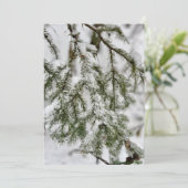 Tiny Diamonds of Ice Clinging to Emerald Needles Feestdagenkaart (Staand voorkant)