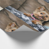 Tiny Dynamo Cadeaupapier (Hoek)