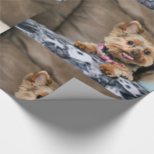 Tiny Dynamo Cadeaupapier (Hoek)