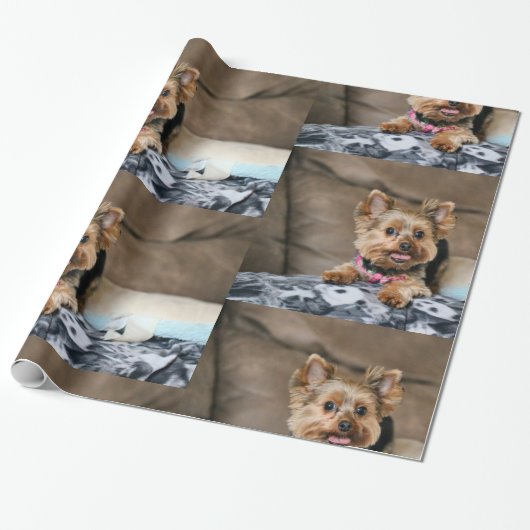 Tiny Dynamo Cadeaupapier (Uitgerold)