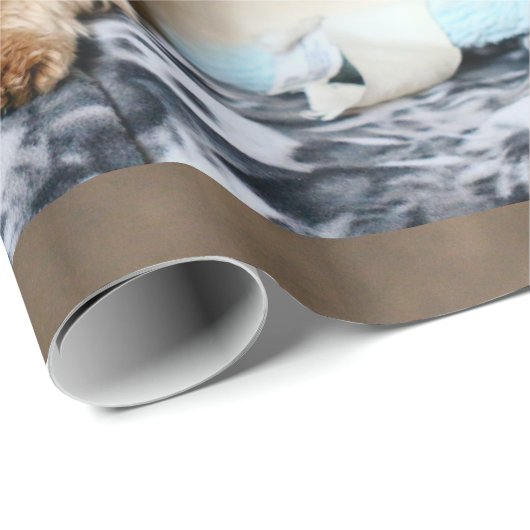 Tiny Dynamo Cadeaupapier (Rol Hoek)