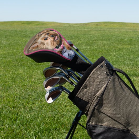 Tiny Dynamo Golf Head Hoesje Golfheadcover (Insitu)