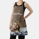 Tiny Dynamo Schort (Insitu)