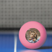 Tiny Dynamo Tennis Balls Pingpongbal (Net)