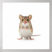 Tiny Field Mouse Art Poster (Voorkant)