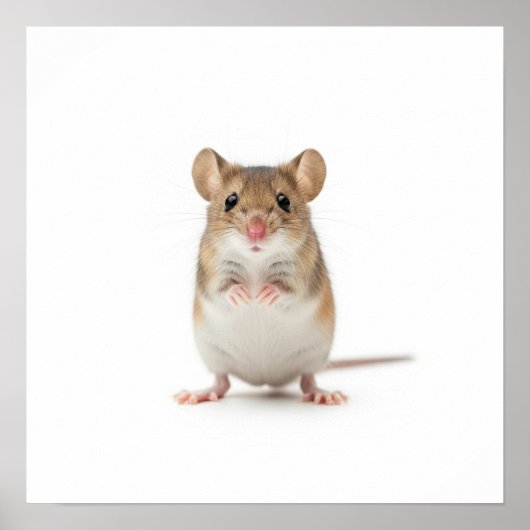 Tiny Field Mouse Art Poster (Voorkant)