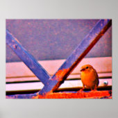 Tiny Finch Poster (Voorkant)