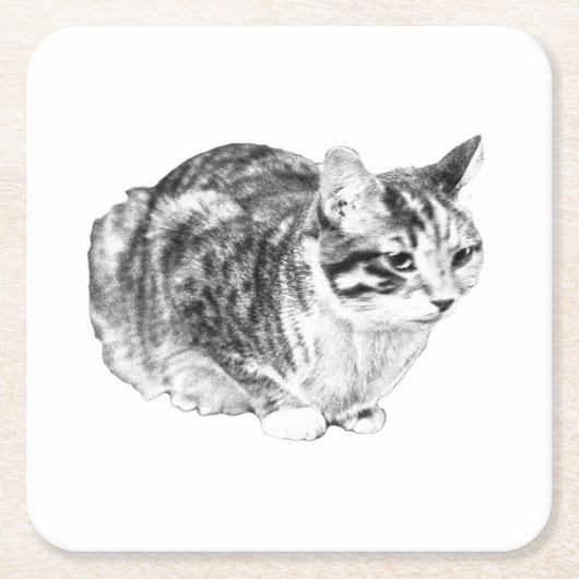 Tiny Gallery: Tabby on Cushion Kartonnen Onderzetters (Voorkant)