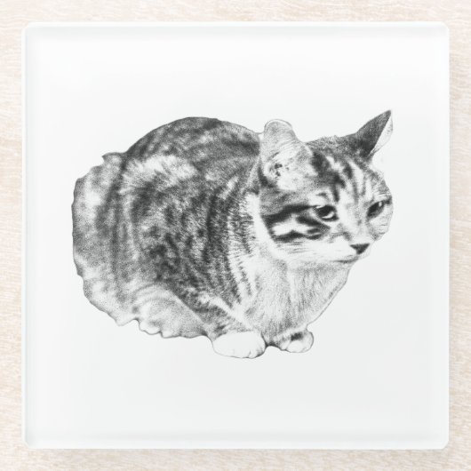 Tiny Gallery: Tabby op Kussen Glazen Onderzetter (Voorkant)
