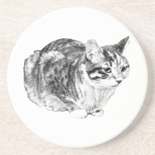 Tiny Gallery: Tabby op Kussen Zandsteen Onderzetter (Voorkant)