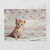 Tiny Ginger Kitten Briefkaart (Voorkant)