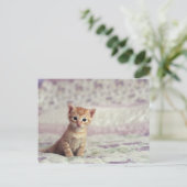 Tiny Ginger Kitten Briefkaart (Staand voorkant)