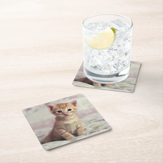 Tiny Ginger Kitten Kartonnen Onderzetters (Insitu)