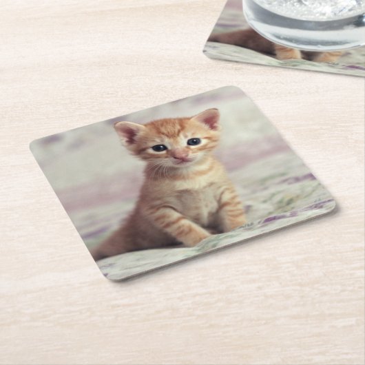 Tiny Ginger Kitten Kartonnen Onderzetters (Schuin)