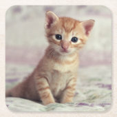 Tiny Ginger Kitten Kartonnen Onderzetters (Voorkant)