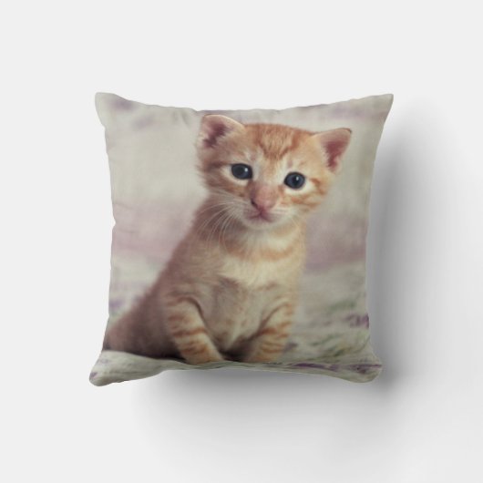 Tiny Ginger Kitten Kussen (Achterkant)