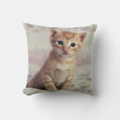 Tiny Ginger Kitten Kussen (Voorkant)