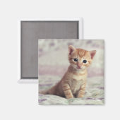 Tiny Ginger Kitten Magneet (Voorkant / Achterkant)
