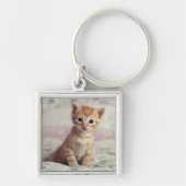 Tiny Ginger Kitten Sleutelhanger (Voorkant)