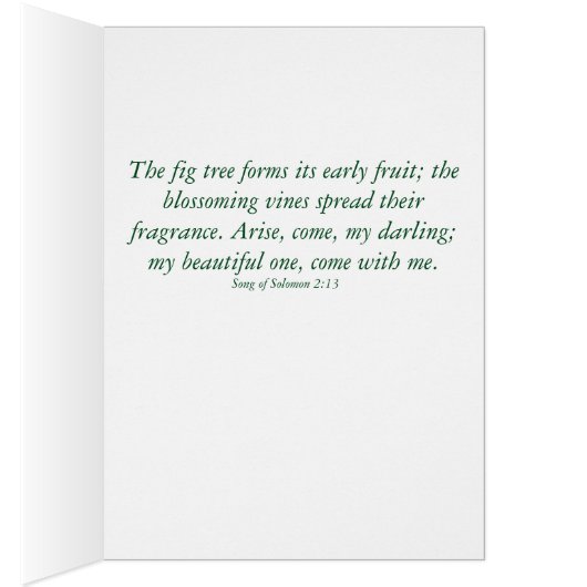 Tiny Green Flora - Lied van de Zon. 2:13 Wenskaart (Binnen (Rechts))