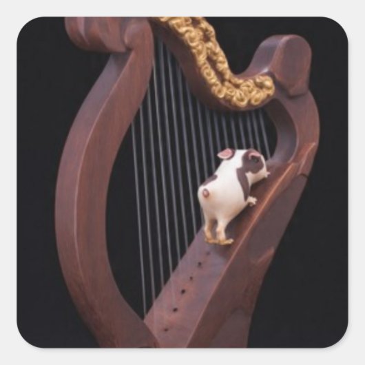 Tiny Harp Klimmer Sticker (Voorkant)