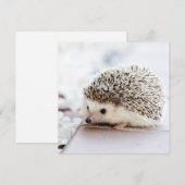 Tiny Hedegel (Voorkant / Achterkant)