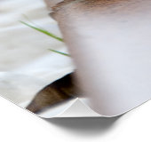 Tiny Hedegel Perfect Poster (Hoek)