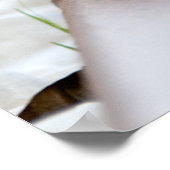 Tiny Hedegel Poster (Hoek)