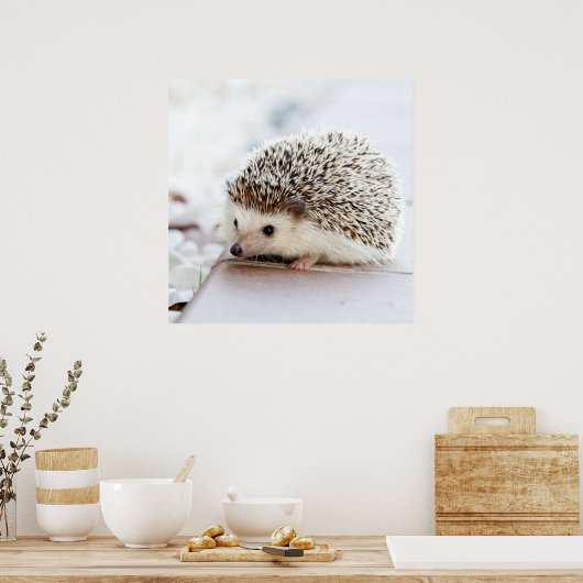 Tiny Hedegel Poster (Keuken)