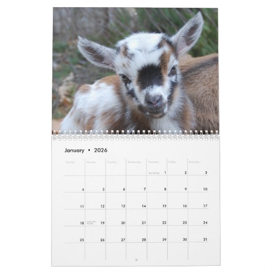 Tiny Hill Boerderij Extreme Cuteness Calendar Kalender (Jan 2026)