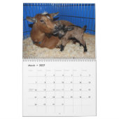 Tiny Hill Boerderij Extreme Cuteness Calendar Kalender (Mar 2027)